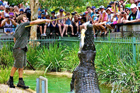 Australian Reptile Park