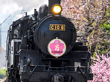 【悠閒時光】名古屋濱名湖、浪漫花見溫泉5日(日本平纜車、大井川鐵道列車、修禪寺~竹林小徑、駿河灣渡輪、掛川花鳥園)