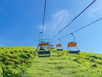 【悠閒時光】東京夏日熱海、森之伊豆、箱根名湯溫泉物語五日（大室山登山纜車、修善寺~竹林小徑、三島SKY WALK、雕刻之森、MOA美術館、隅田川遊船）