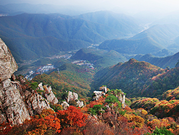 【真楓愛韓國】愛寶樂園、大芚山、龍門纜車、金剛排雲橋、風雲階梯、霸王龍蝦海鮮鍋五天《不走人蔘+土產》（入住１晚五星索羅卡門）【真航空、桃園出發】