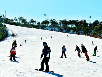 【德意威風滑雪去】《特惠團》伊甸園滑雪場、E WORD樂園、松島海上纜車、汗蒸幕、東萊溫泉、獨家長腳蟹吃到飽五天（入住雪場渡假村１晚+正特二五花酒店２晚）【德威航空、桃園出發】