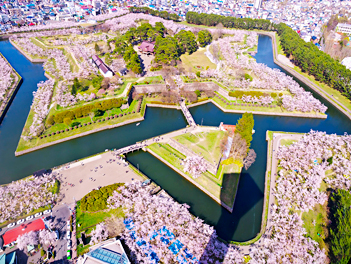 【北海道歐嗨喲】北海道登別函館溫泉櫻花之旅、洞爺湖花火節、三大蟹和牛涮涮鍋、溫泉五日（北海道神宮、函館朝市、大通公園、羊蹄山名水公園）【星宇航空、千歲進出】JX102