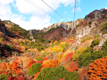 【悠閒時光】楓遊四國、瀨戶內海、紅葉狩五日～小豆島、祖谷溪葛藤橋、鳴門漩渦、小豆溫泉