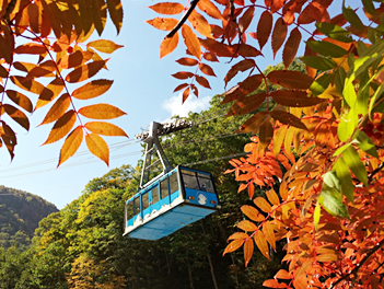 【悠閒時光】北海道．道東慢旅賞楓五日（釧路濕原、阿寒湖、黑岳纜車、日本最北動物園～旭山動物園、美瑛青池）