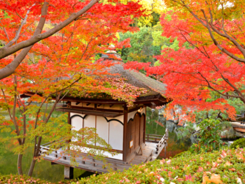 【東瀛假期】嫣紅翩翩、近畿楓紅悸動五日（六甲山、清水寺、北野天滿宮）