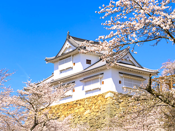【悠閒時光】粉色浪漫．山陰山陽春日溫泉物語六日