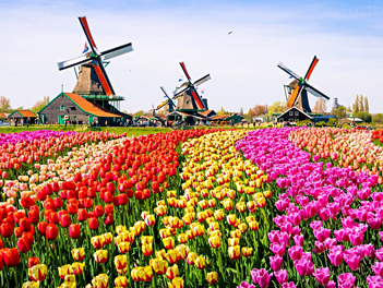 【魅力歐洲】法比荷~鬱金香花園、最愛羅浮宮、特色三遊船、運河風車城8日