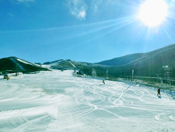 春節限定【元氣日本】星寰福雪九州五日遊（九重森林滑雪場、鬼山地獄、柳川遊船、湯布院金鱗湖、萌熊電車、燒肉放題、三大蟹吃到飽）【星宇航空．台中/熊本】