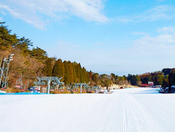 【元氣日本】夢幻雪景、米其林二星景點海之京都、日本三大名泉五日（星宇航空、台中直飛神戶）