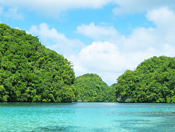 【湯姆旅遊】帛琉海陸玩透透豪華五日 ( 2人成行 ) 機票自理