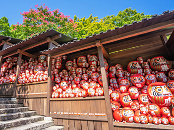 【元氣日本】丹後森海~須模離宮公園、箕面大瀑布、勝尾寺、天橋立、美山合掌村、伊根遊船、千本鳥居、宇治抹茶、和牛燒肉放題五日遊【星宇航空、台中直飛神戶】