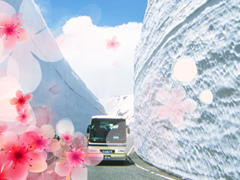 【東瀛假期】立山雪壁の紫藤芝櫻六日（足立紫藤花賞、立山黑部６種交通工具、白川鄉合掌村、秘境上高地、富士芝櫻）