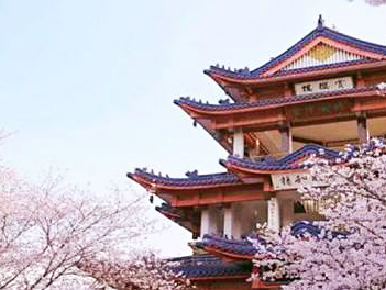 【探索中國自由行】春遊江蘇～瘦西湖、黿頭渚櫻花、垛田油菜花、古風仙鎮漫遊八日（無購物無自費）【中國南航、桃園出發】