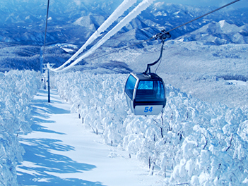 【悠閒時光】雪國之藝～青森仙台雪季６日（秋田樹冰、十和田美術館、滑雪樂園戲雪、男鹿水族館、狐狸村）【長榮航空、桃園出發】
