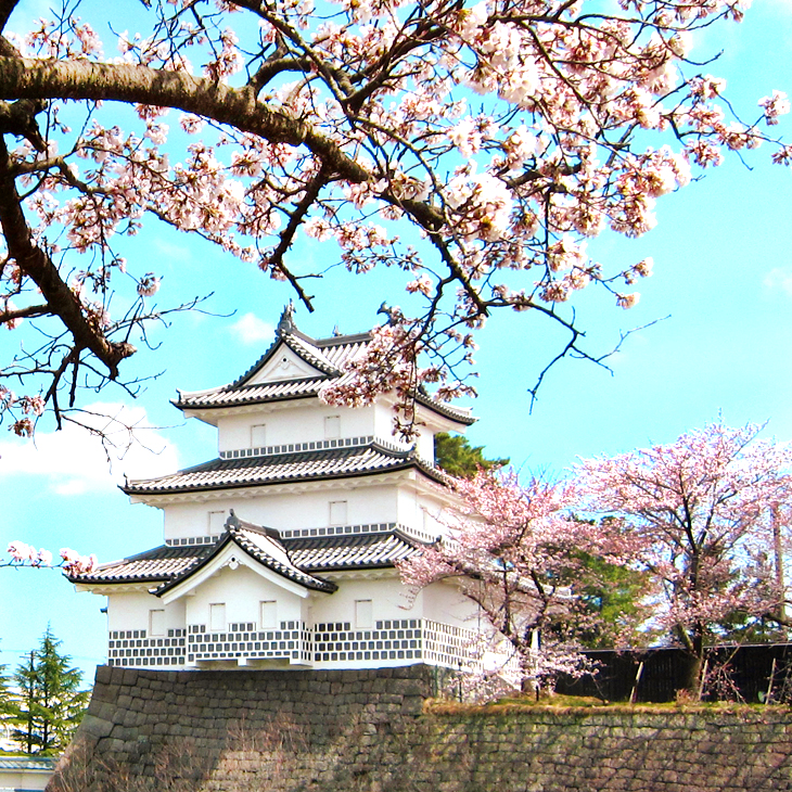 新潟縣 / 新發田城