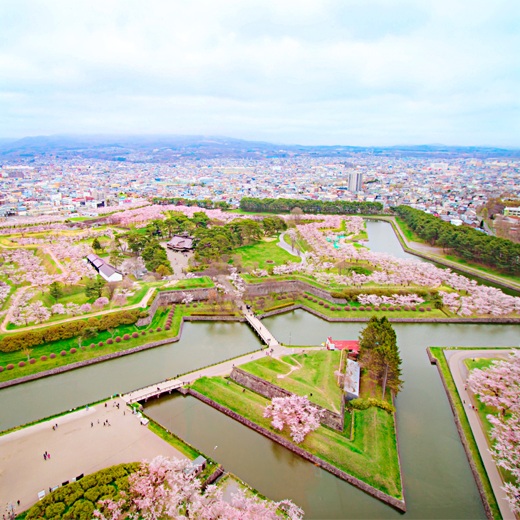 函館市 / 五稜郭公園