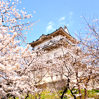 神奈川縣 / 小田原城址公園