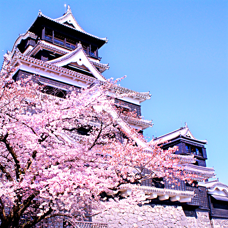 熊本縣 / 熊本城