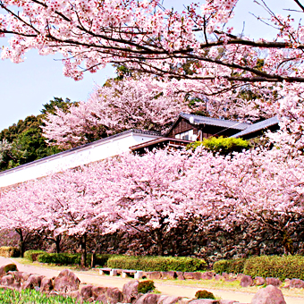 長崎縣 / 大村公園